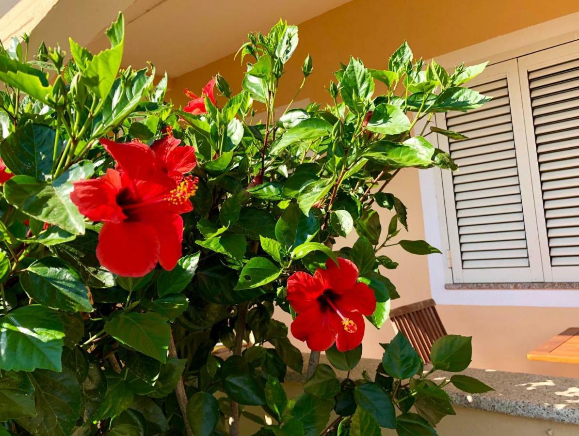 올비아 Casa Dolce Hibiscus 아파트 외부 사진